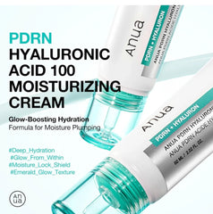 Anua PDRN Hyaluronic Acid 100 Moisturizing Cream 60ml